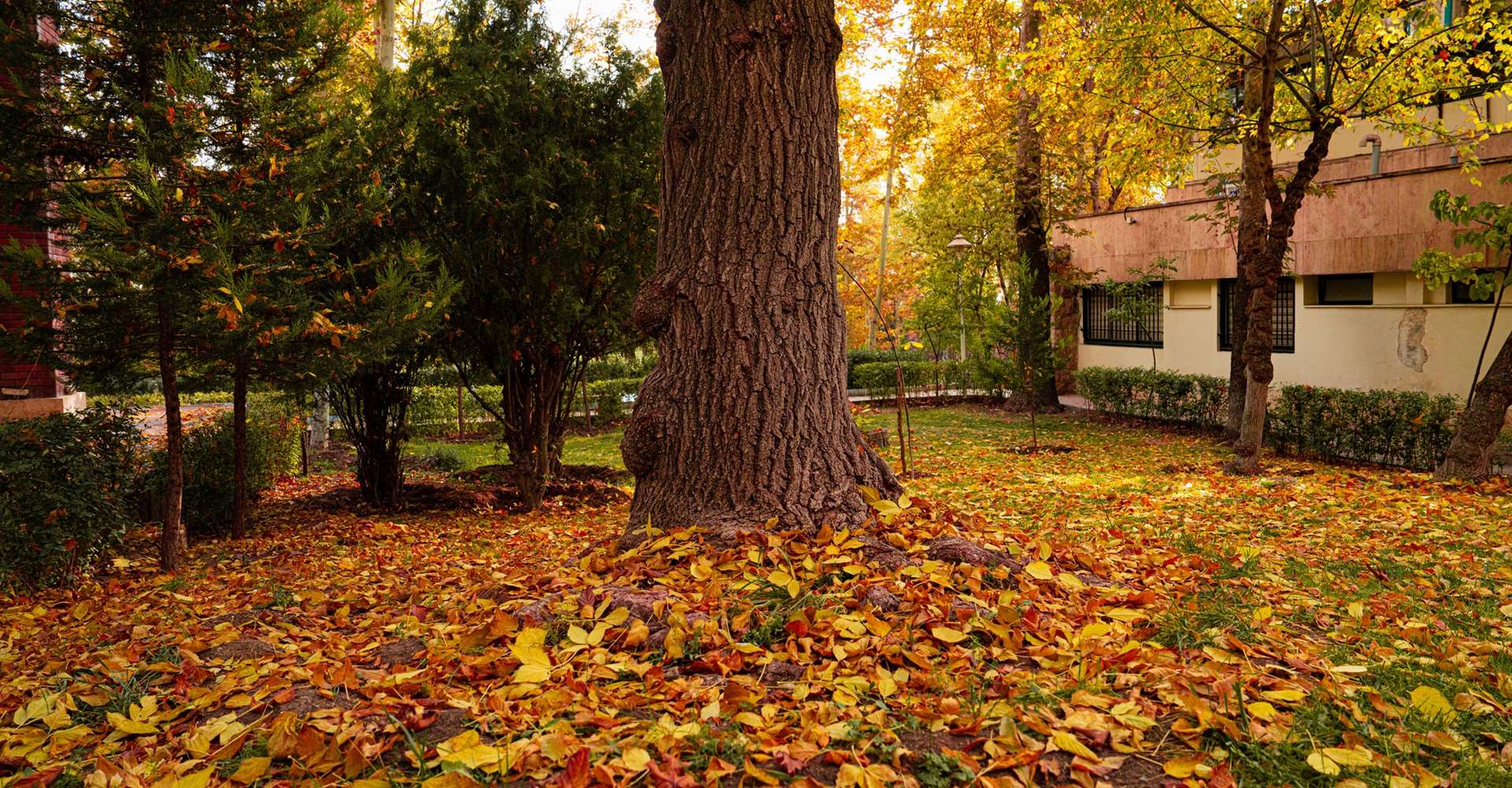 پاییز در دانشگاه 