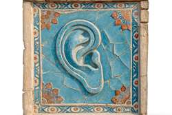 پیام تبریک رئیس دانشگاه علوم توانبخشی و سلامت اجتماعی به مناسبت روز ملی شنوایی‌شناسی