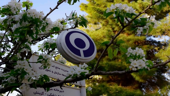 دانشگاه علوم توانبخشی 