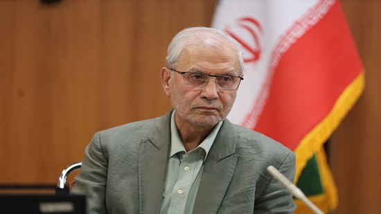 همگرایی انجمن‌های علمی برای مواجهه با سونامی سالمندی/ دکتر ربیعی: وضعیت اجتماعی و اقتصادی زنان سالمند نیازمند توجه فوری است 